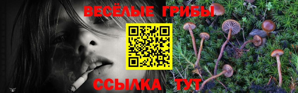 Мытищи  Псилоцибиновые грибы Psilocybine cubensis  Псилоцибиновые грибы GOLDEN TEACHER  Вход с VPN 